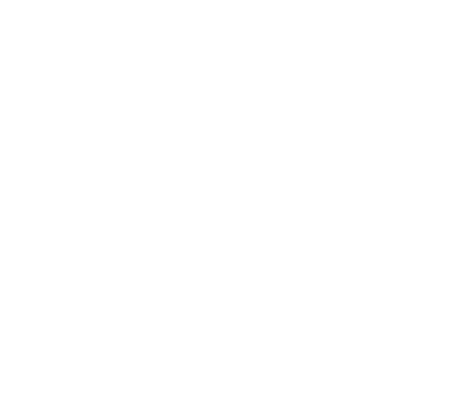 Elisa Paslandim Advogada